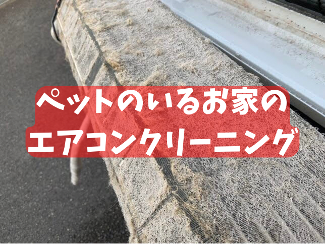 ペットを飼う家の良くあるエアコンのカビの発生状況と汚れ具合 | エアコンなら大阪の愛生