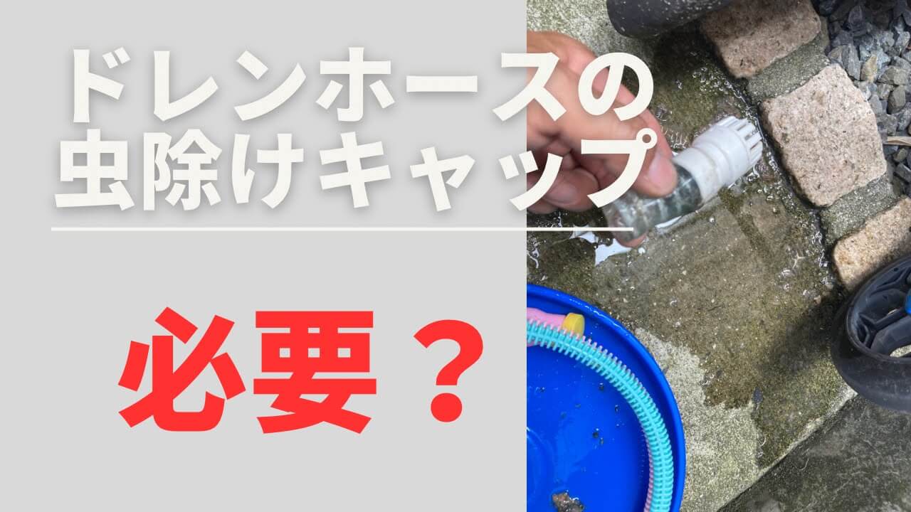 ストア 排水 ホース キャップ